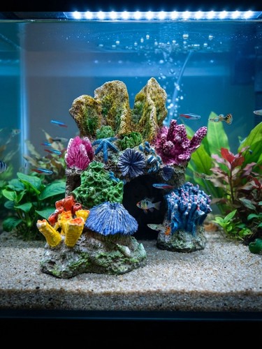 Colorful artificial coral - coral, reef