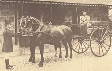 Horse and Buggy Morning Drive 1904 Tandem Pul 1976 Postcard (F784)