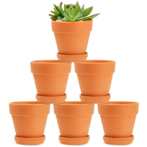 Terracotta plant pots - plant, with