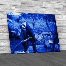 Blue Gold Macaw Canvas Print