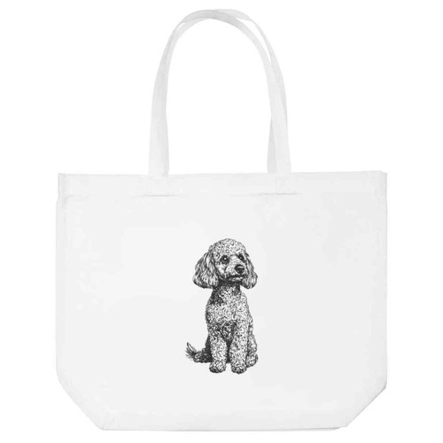 Miniature poodle sitting - 'miniature, sitting'