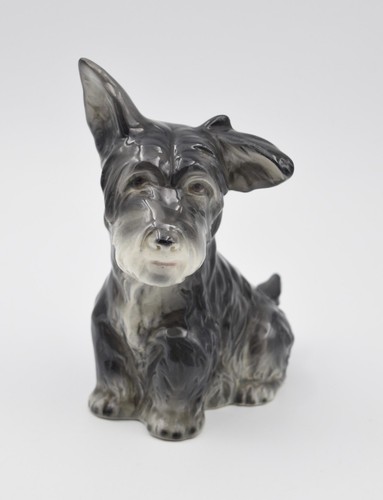 Adorable scottish terrier - scottish,
