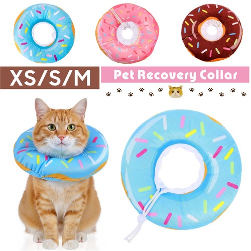Adjustable cat cone collar - cat,