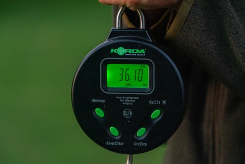 Korda scales digital scale - korda,