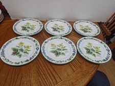6x Royal Worcester Herbs Side