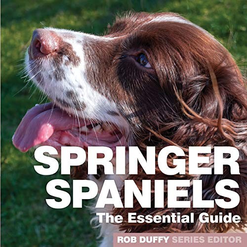 Springer spaniels the - springer, spaniels: