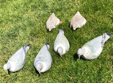 6 Decoy Pigeons JOB LOT Half