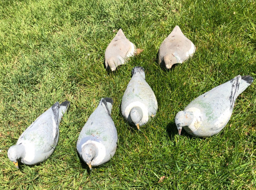 Decoy pigeons job lot half - decoy,