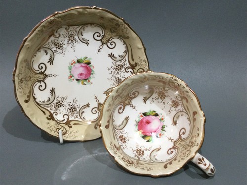 Antique staffordshire bone - ,