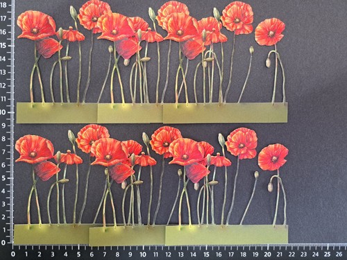 Poppy strips die cuts