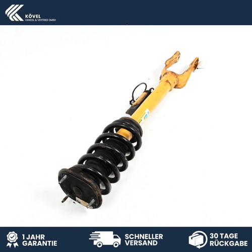 Genuine strut shock absorber - strut,