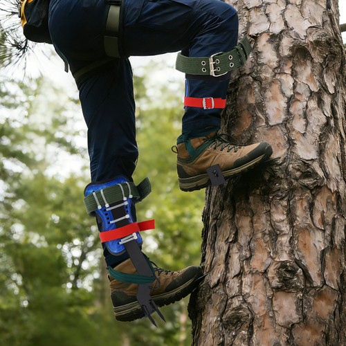 Tree climbing spike pole - tree,