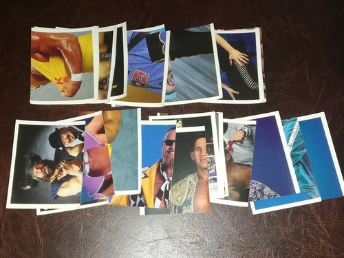 Wwf stickers merlin blue album - wwf,