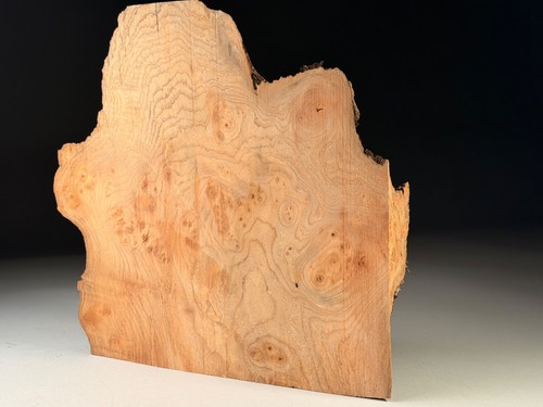 Amazing large live edge burr - large,