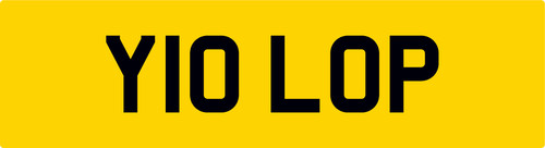 Tree van private car reg - tree,