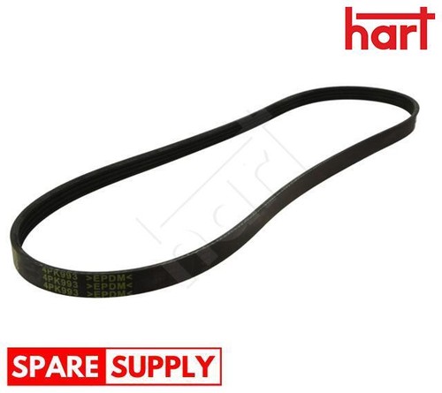 Ribbed belt for jaguar - belt,