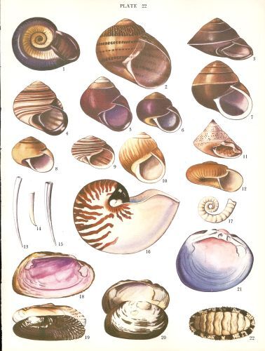 Vintage watercolor sea - vintage,