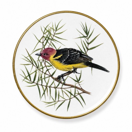 Songbirds world porcelain - of,