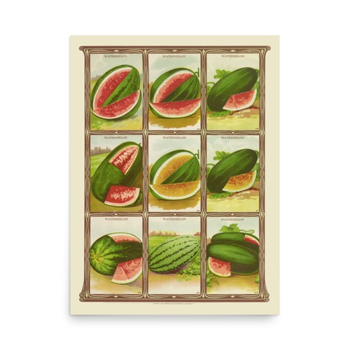 1921 watermelon seed packets - watermelon,