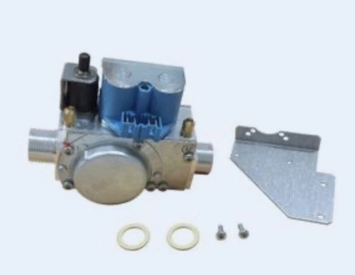 Worcester bosch gas valve - gas,