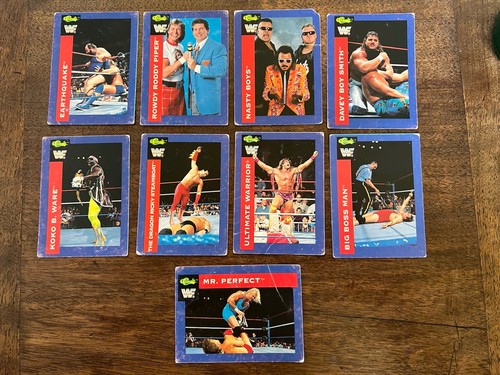 Vintage 1991 classic - 1991, wwf