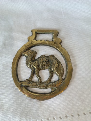 Vintage camel horse - vintage, brass