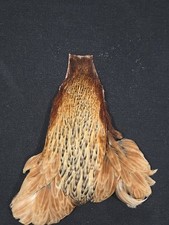 Barred Ginger Hen Neck Cape