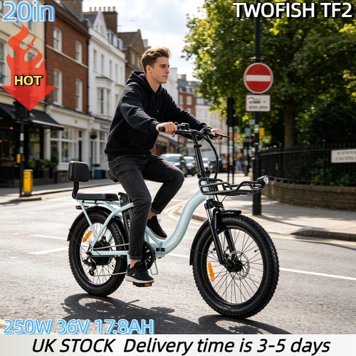 Folding electric bike 250w - bike,