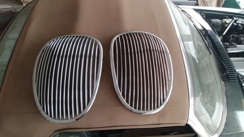 Jaguar mark front grille - jaguar,