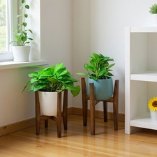 2 in 1 Adjustable Plant Stand