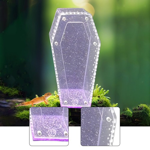 Mini reptile terrarium - reptile,