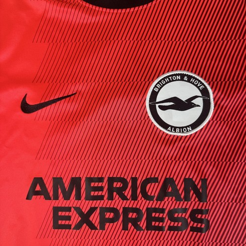 Brighton hove albion - hove,