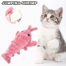 Rechargeable Moving PET Toy