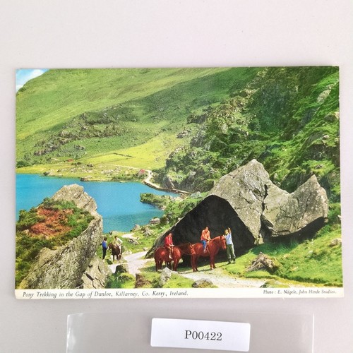 Pony trekking gap dunloe - pony,