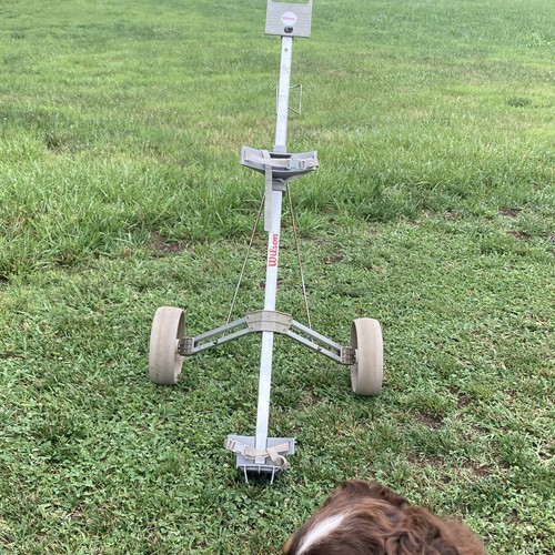 Wilson wheel pull golf cart - 2-wheel,