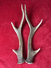 PAIR OF SIKA DEER ANTLERS