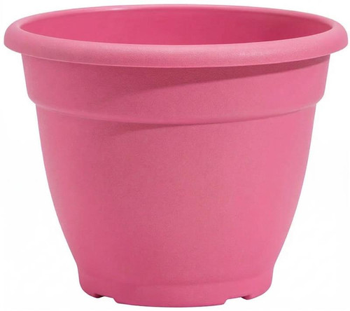 Round plastic plant - plant, 30cm