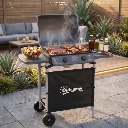 Propane gas barbecue - grill, 2
