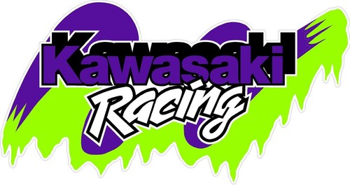 1029 kawasaki racing - (1),