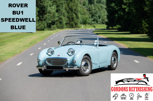 Rover bu1 speedwell - speedwell, blue