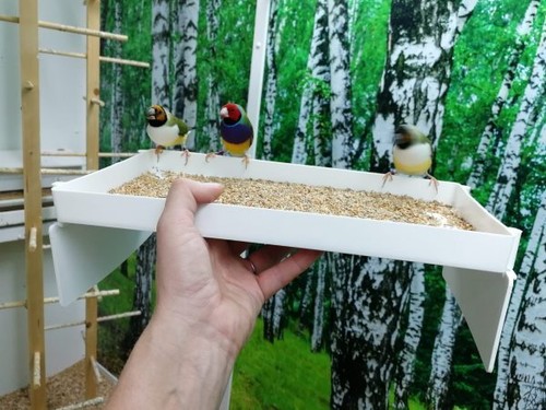 Large tray bird - feeder, dish