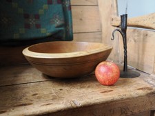 A Fabulous Sycamore Early