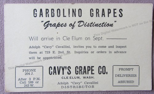 Vtg advertising postal card - vtg,