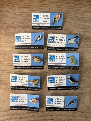 Numbered rspb bird pin - 9,