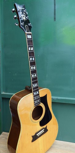 Acoustic guitar rare ibanez - acoustic,