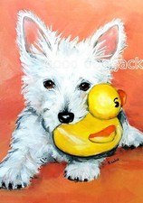 West Highland Terrier WESTIE