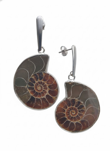 Ammonite fossil drop - ammonite, earrings