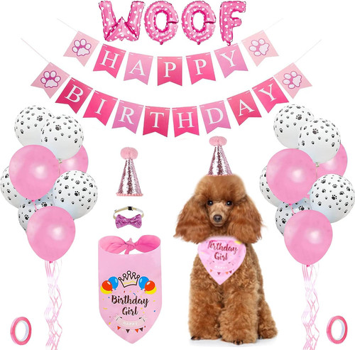 Dog birthday party - birthday,