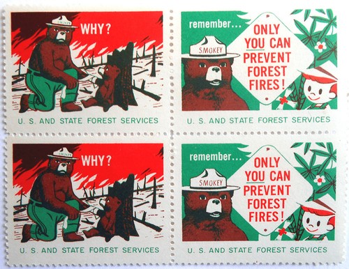 Smokey bear poster - bear,
