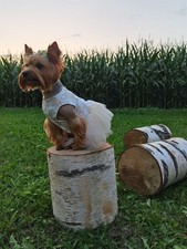 dog dressing gown perfect for Yorkshire Terrier 